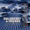 CD SALLABERRY - Коллекция Sallaberry & Friends Япония ObiMusic Другое Б/У