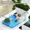 Yousheng Turtle Tank with Basking Platform Small Plastic Clear Aquarium Tank Desktop Micro Terrarium Habitat for Turtles Crayfish Crab Lizardt