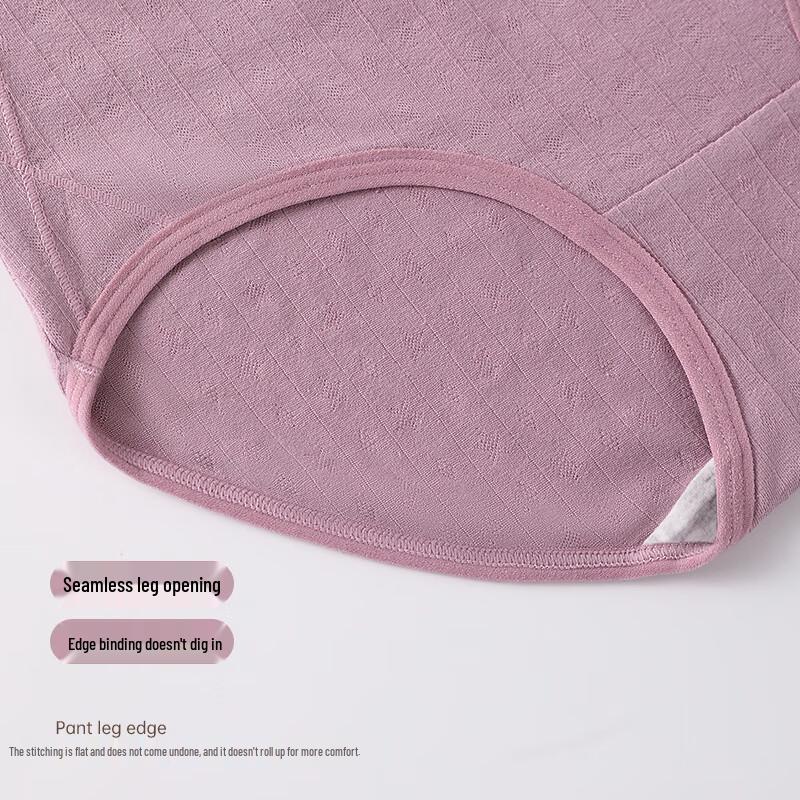 GUJIN Women's Pure Cotton High-Waist Tummy Control Briefs 4-Pack