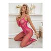 Women's Red Fantasy Private Zone Open Fishnet Body Stockings
