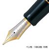 Pilot Fountain Pen Custom 845 Vermilion Lacquer Fine Point FKV-5MR-R-F