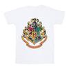 HARRY POTTER Boys Hogwarts Crest Gold Ink T-Shirt
