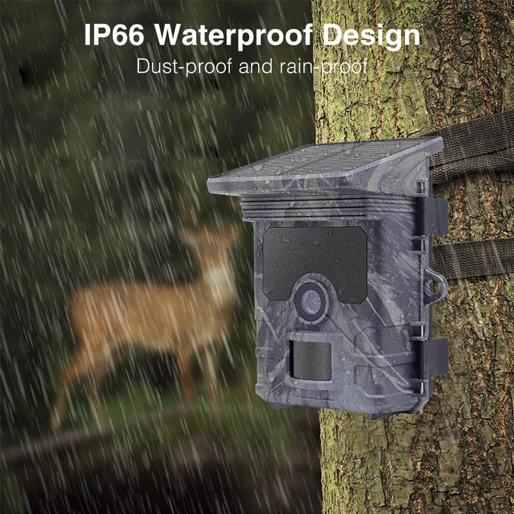 2025 Солнечная камера для дикой природы 50 МП 4K видео Камера слежения Ночное видение 0,3 с Активация движением Водонепроницаемая садовая камера Наружное наблюдение за охотой