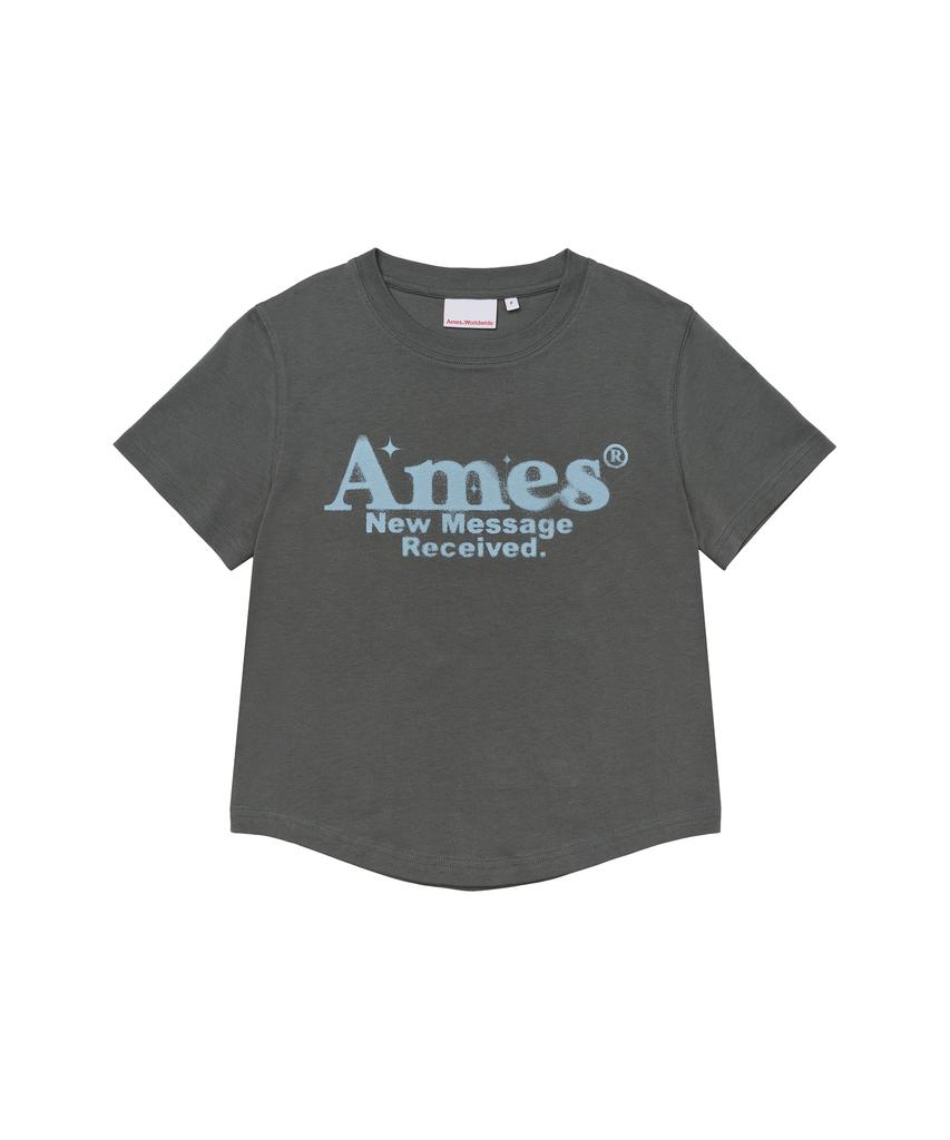AMES-WORLDWIDE Укороченная футболка с круглым подолом Светло-серый