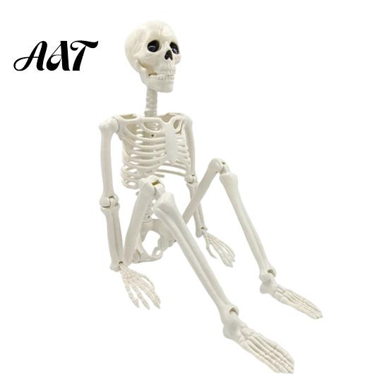 Durable Skeleton Model for Cemetery Theme Halloween Decoration, 3Ft Life Size Full Body Human Bone, Realistic Posable Simulation Bone Structure Stage