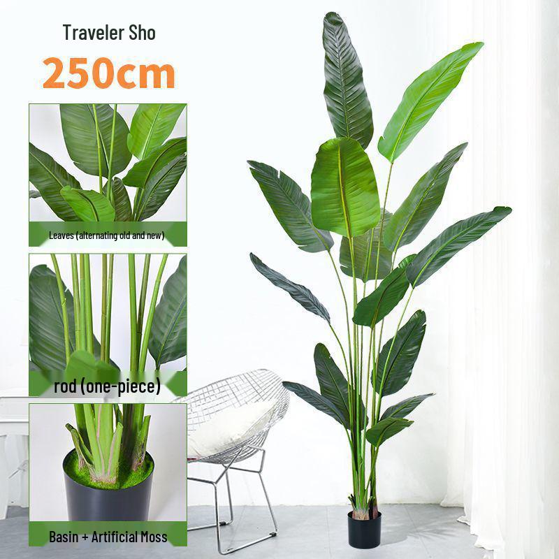 Artificial Indoor Plants & Trees: Monstera, Areca Palm, Jacaranda, Nandina, Rubber Fig - Free Shipping