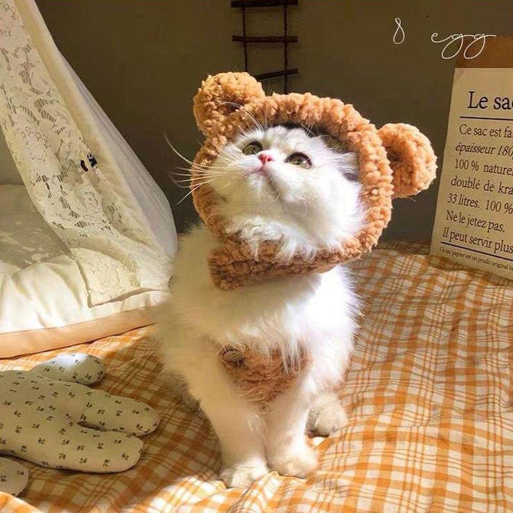 Cute Cosplay Costume Pet Accessories Cat Hat Headgear Short Plush Bear Puppy Cap