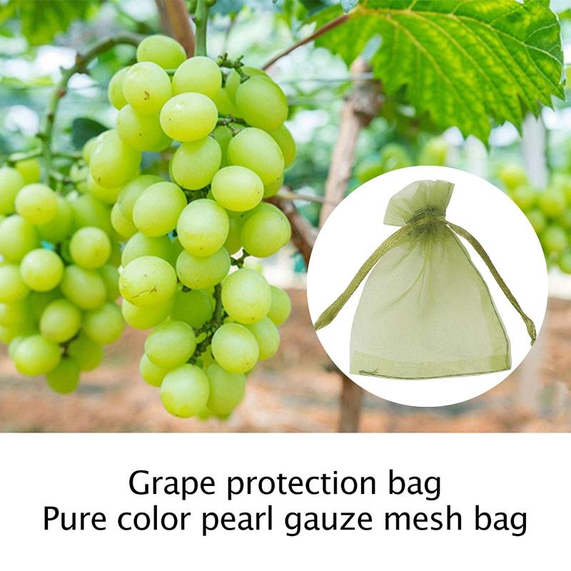 50Pcs Fruit Protection Bag Pest Contro Plants Anti-Bird Mesh Bags Grow Gardening Strawberry Grape Drawstring Bags Mesh Pouch