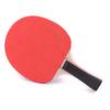 Table Tennis Racket Set Two Rackets Three Balls Double Sided Reverse Rubber Straight Racket