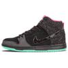 Кеды для скейтбординга Sb Dunk High Premier Northern Lights 313171-063