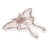 Something Different Luna Moth Trinket Dish