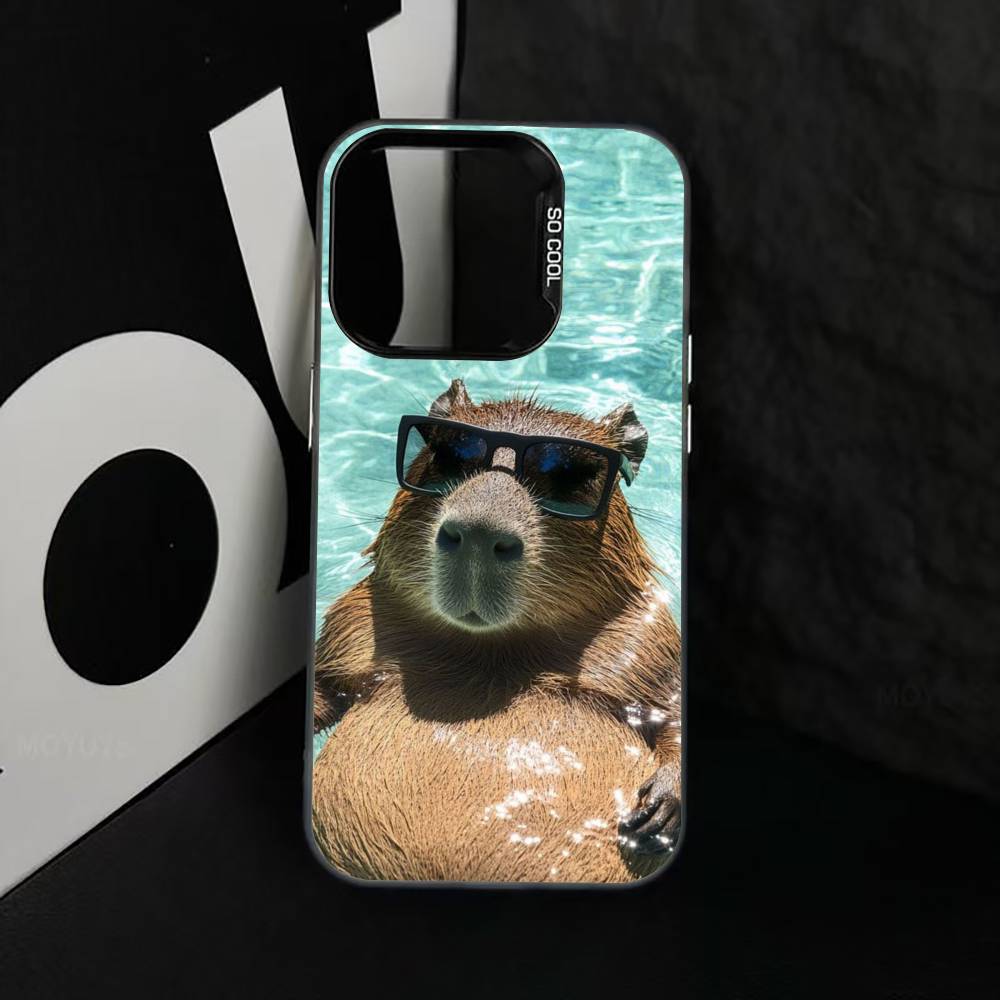 Cute capybara Phone Case For iPhone 17,16,15,14,13,12,11 Plus,Pro Max,XS,Colorful Silver Black Cover