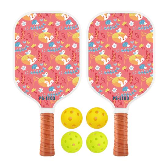 Набор для игры в пиклбол с ячеистым сердечником из стекловолокна и 4 мячами, эргономичная рукоятка