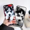 CJ66 Husky Puppy Dog Soft Shell Phone Case for Redmi Note 10 11 12 Pro Max 10S 10C 10T 11A 11S 12S 12C