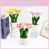 Multicolor Corn Simulation Poppy Potted Artificial Flower Ornament Desktop