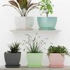 Пластиковые круглые цветочные горшки для домашних растений, террасы, сада и т. д. | Упаковка из 05 штук | Разноцветные | Подходят для домашних комнатных и уличных садовых растений