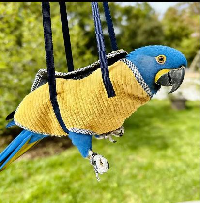 Parrot Travel Bag Adjustable Foldable Anti-Escape Portable Carrier for Lovebirds Budgerigars Leak-Proof Wear-Resistant