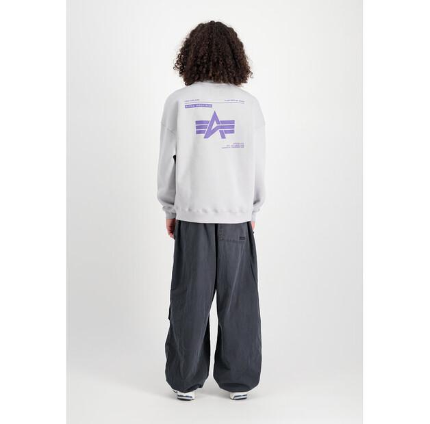 Толстовка Alpha Industries Logo Backprint Sweatshirt