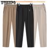 Middle Aged and Elderly Women's Summer Thin Pants Mom's Pants Plus Size Straight Leg Pants Grandma's Ice Silk Cropped Pants