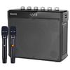 Philips SD139 Портативная уличная Bluetooth-колонка KTV (Китайская версия)