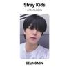 Stray Kids Официальная фотокарточка ATE ALADIN