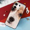 Dog Jack Russell Terrier Case For Xiaomi Redmi Note 12 11 10 9 8 13 Pro Plus 12S 11S 10S 9S 10A 9C 10C 12C 13C Cover