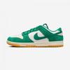 Nike Dunk Low Se Trk3 Hq1519 030