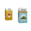 Girnar Green Tea Lemon & Honey (36 Tea Bags) + Girnar Detox Desi Kahwa Green Tea Bags (36 Tea Bags) | Pack of 2 | 180 Gm Approx