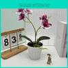Two Realistic Branches Butterfly Orchid Green Plant Bonsai For Indoor Decor