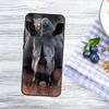 Animal Rhino Case For Samsung Galaxy A54 A34 A14 A56 A36 A16 A06 A13 A53 A12 A22 A32 A52 A35 A17 A15 A55