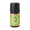 Ginger Bio Essential Oil 5ml