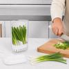 Clear Fresh Keeping Box Scallion Garlic Use Water Culture Container Fridge Storage Box  Kitchen Use