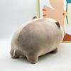 Moo Deng Plush Thai Kaoqiu Dwarf Hippo Dwarf Hippo Plush Doll Bouncing Pig