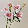 Oil Painting Finish Artificial Lily Flowers 73cm Length Simulation Lily Stem  Wedding Decor