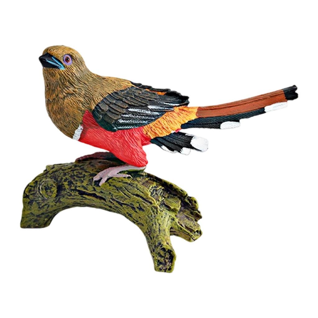 Realistic Bird Figure for Children Collection Decoration Miniature Bird Figurine for Desktop Home Garden Birthday Party Favor