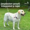 The Multi-functional Collar, Leash, Chest Strap, Adjustable Pet Leash and P Chain for Taking Dogs Out To Prevent Them from Breaking Free