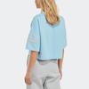 Adidas Originals Adicolor Neuclassics Tee T Shirt Women's Blue IB7311