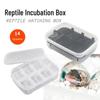 Gecko & Lizard Egg Incubator: 14-Position Tray for Reptile Hatching and Breeding