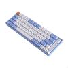 Gamer Keyboard 65 Keys Swap Wireless Multifunctional Mechanical