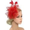 Polka Dot Feathers Fascinator Hat Elegant Bride Headdress Vintage Tea Party Mesh Hair Band  Wedding