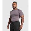 Gymshark TecTonic Seamless T shirT Матовый фиолетовый Серо-фиолетовый A1b1p Pb1k