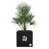 ELHO Bac a fleurs Vivo Next Square 40 - Ø 39 x H 38 cm - Intérieur,Extérieur - 100% recyclé - Noir