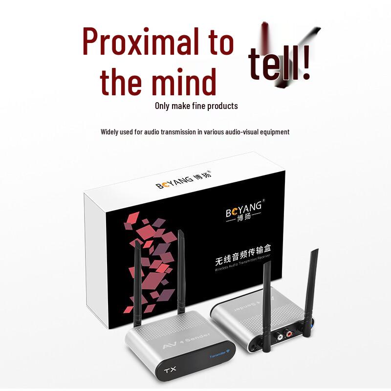 Boyang 100m Wireless Audio Transmitter & Receiver Kit