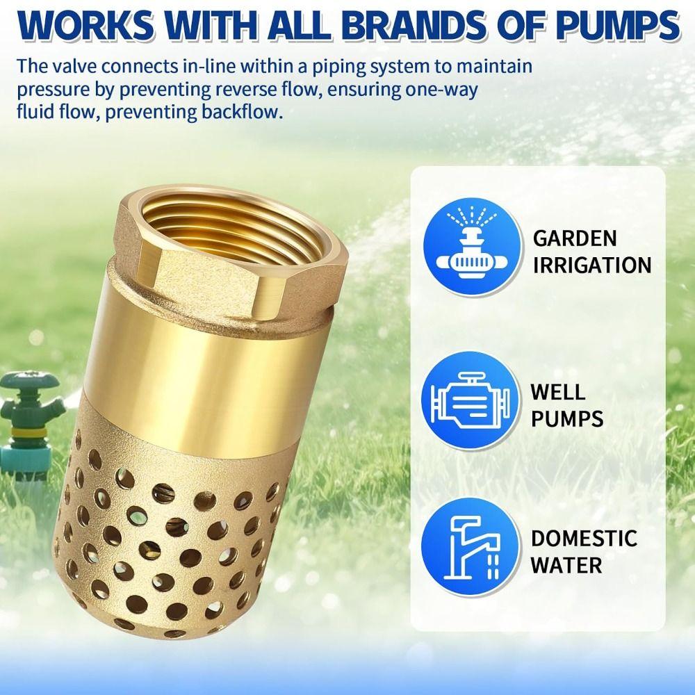 Brass Body Check Valve Hollow Perforated Water Strainer Foot Valve Water Suction System