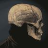 Props Halloween Carnival Skull Helmet Halloween Mask Full Head Skull Skull Mask Movable Jaw