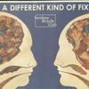 Виниловая пластинка BOMBAY BICYCLE CLUB Different Kind Of Fix 2777324 ISLAND 2011 Европа Рок
