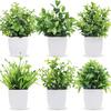 Useful Simulation Potted Plants Non Wither Durable Photography Prop