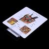 Sick Dog Canine Skin Anatomical Model Veterinary Vet Anatomy Display Teaching Study Research