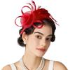 Formal Dress Feathers Mesh Headband Retro Fascinator Headdress  Masquerade Party