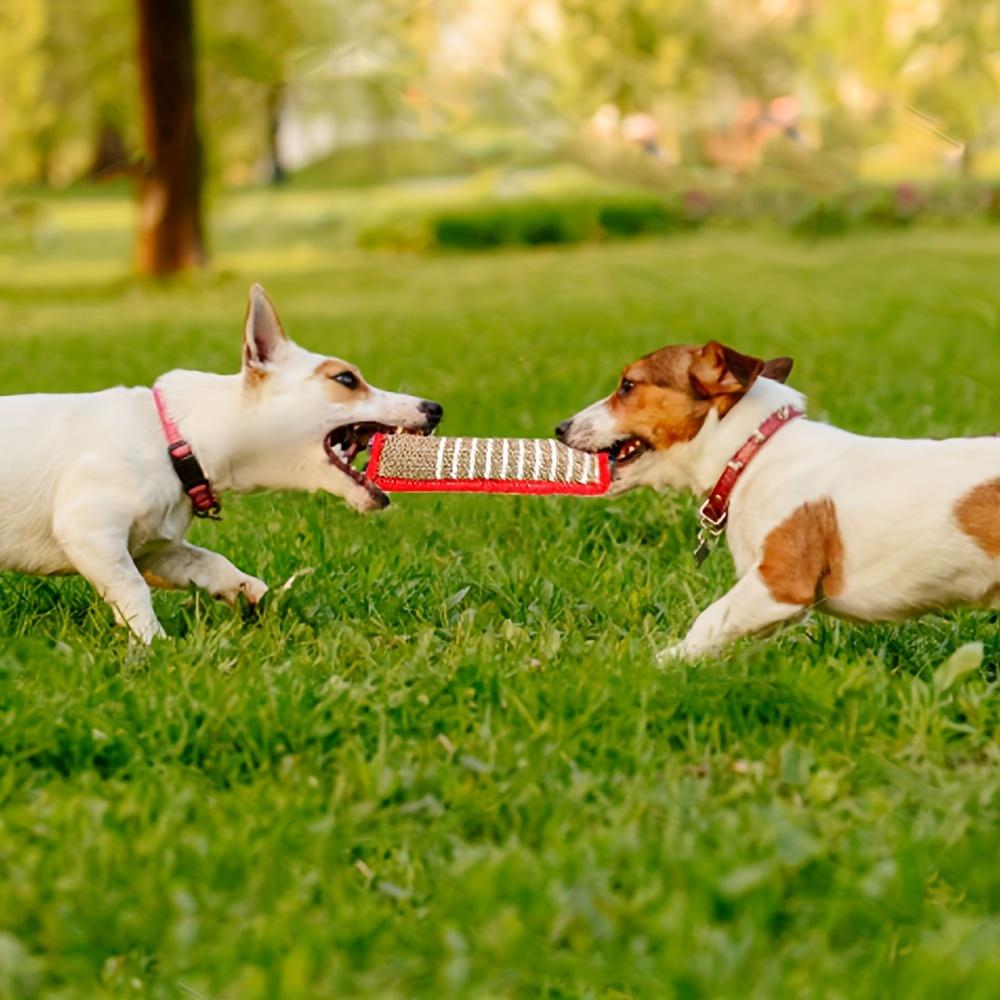 Прочная джутовая игрушка для жевания для собак - Устойчивая к укусам палочка для прорезывания зубов для щенков и взрослых собак, Натуральный уход за зубами питомца